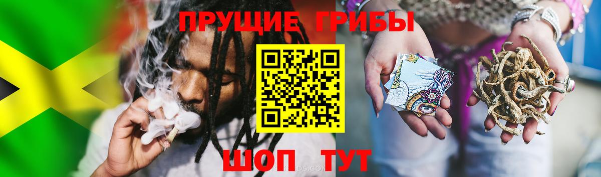 Галлюциногенные грибы Psilocybine cubensis Реутов